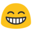 :grin: ð