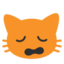 :scream_cat: 🙀