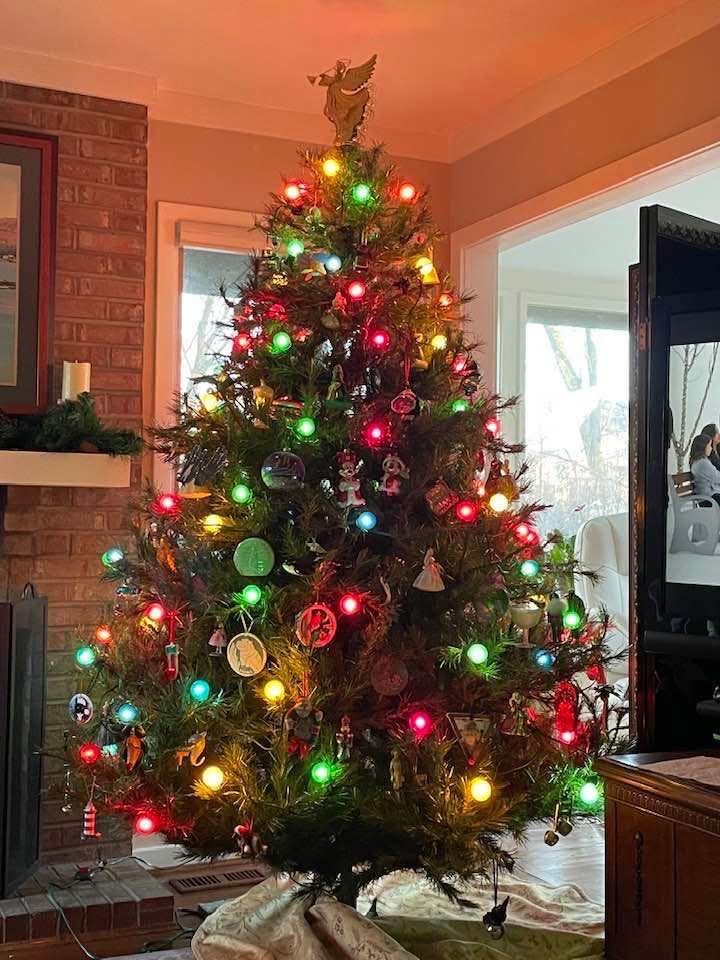 Old Christmas tree.jpg