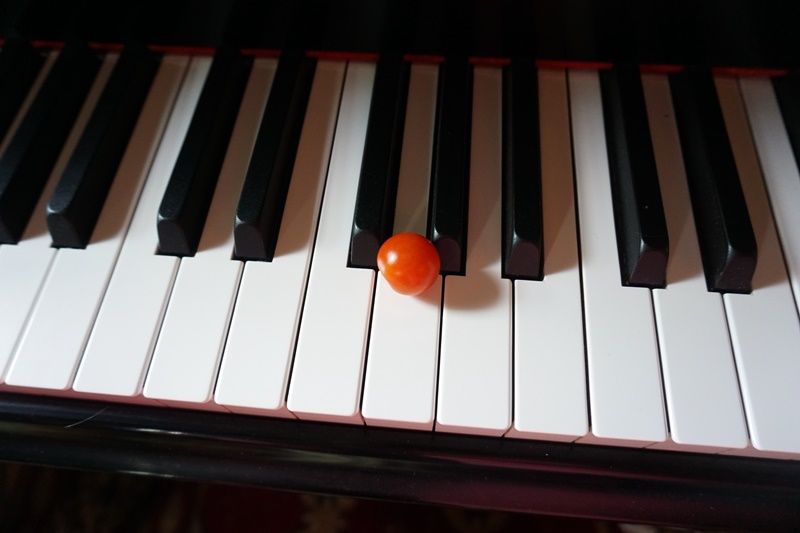 7251.JPG