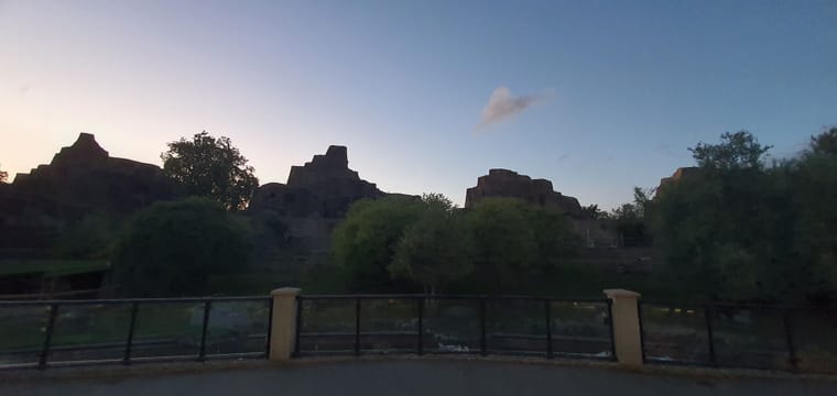 6130183.jpg