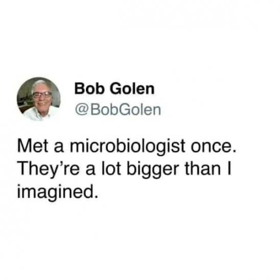 micro.jpg