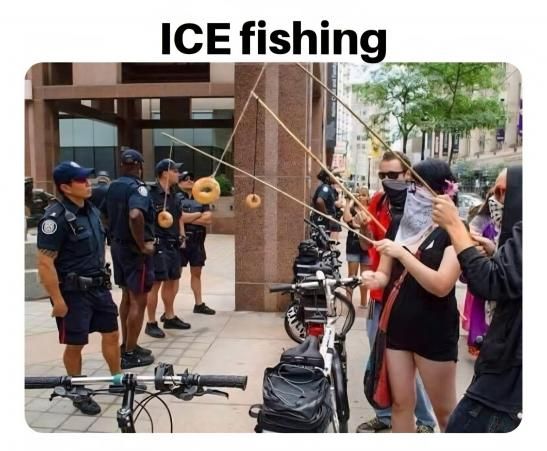 fish.jpg