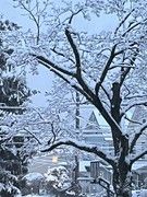 4be33b67-e29a-4418-accd-c387948e03e4-image.jpeg