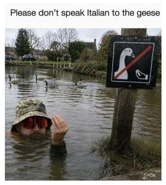 7726.jpg