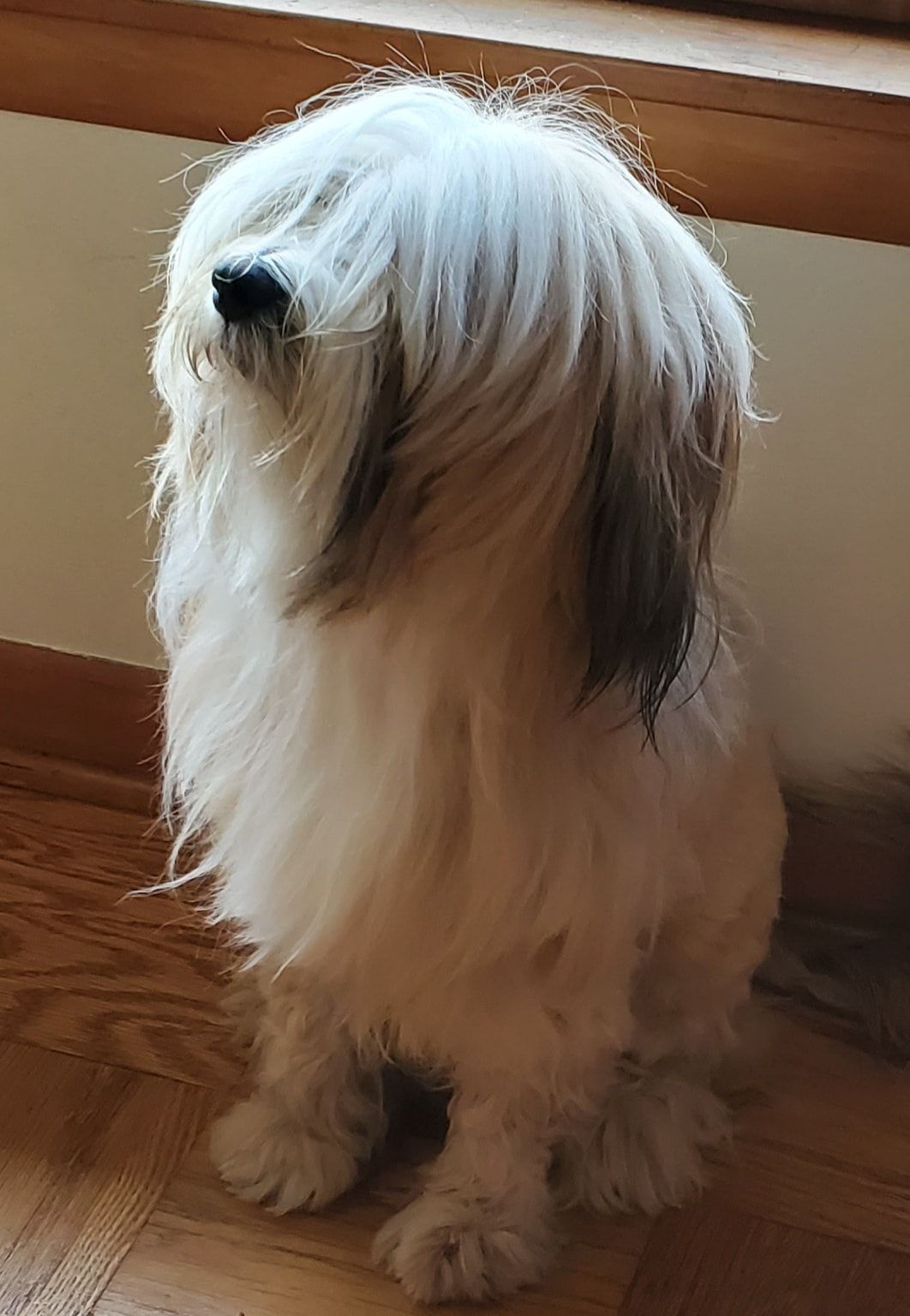 Cosmo.jpg